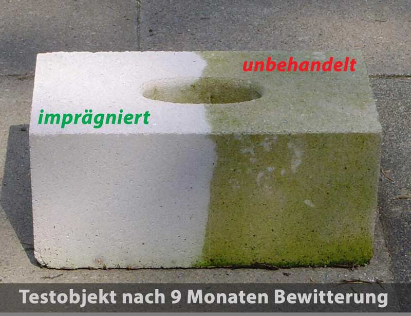 Unterschied von Impregnierten Stein nach 9 Monaten Bewitterung